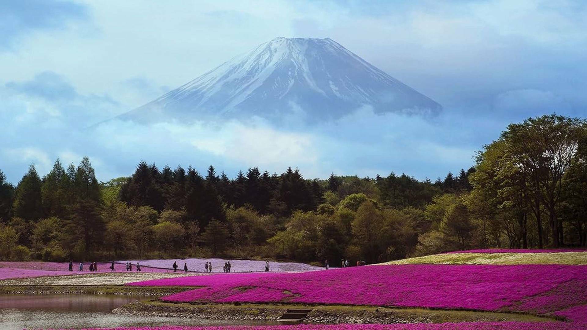 Especial Japón: entre el cielo y la tierra