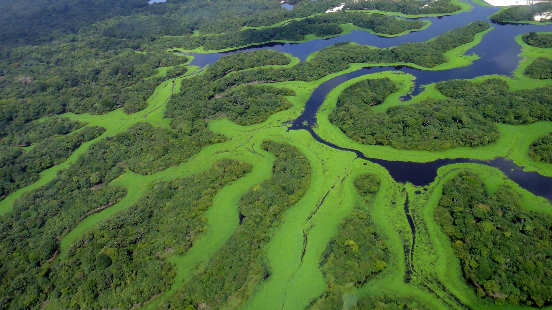 Amazonía: Un mundo de agua dulce