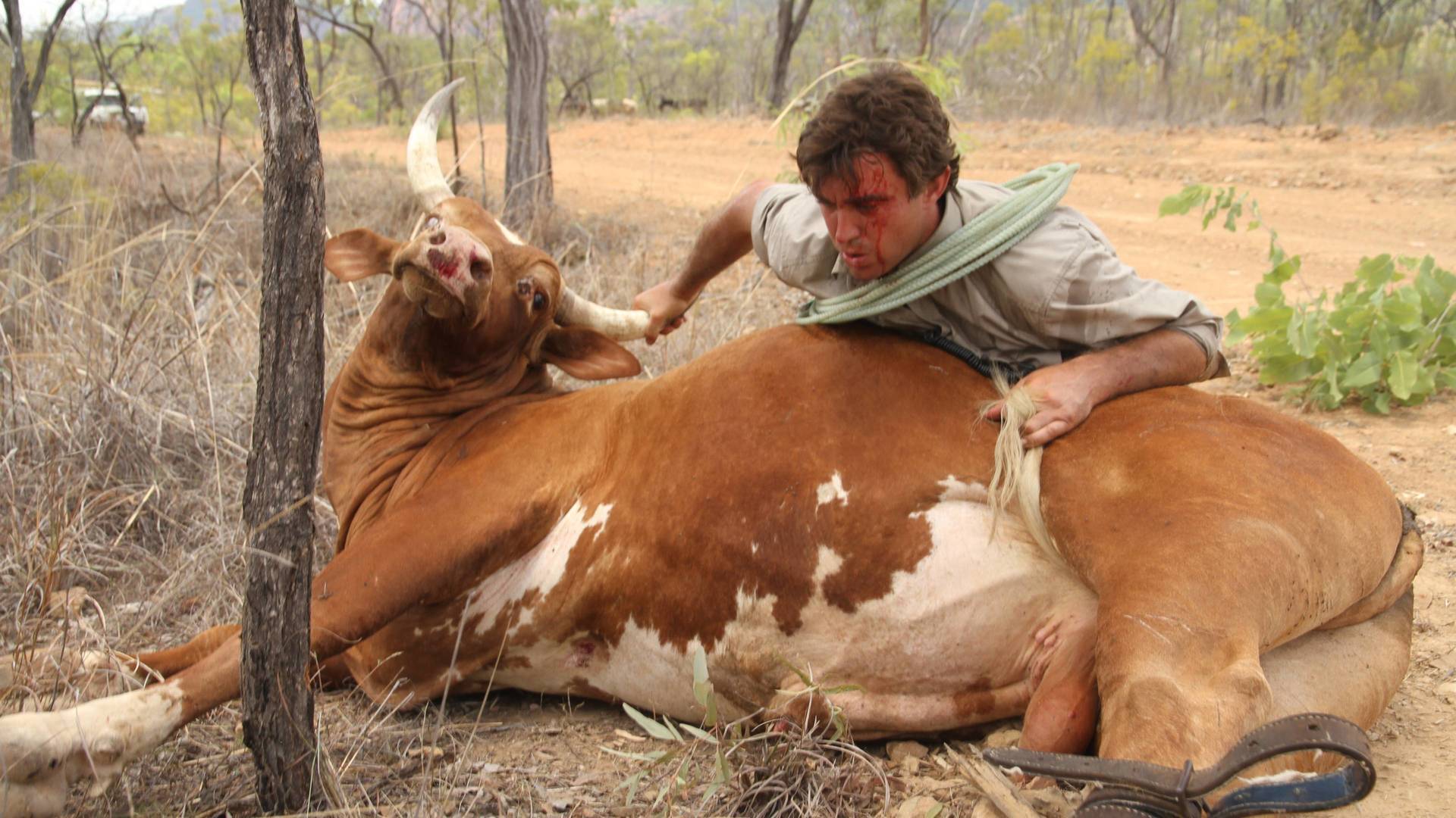 Un vaquero australiano