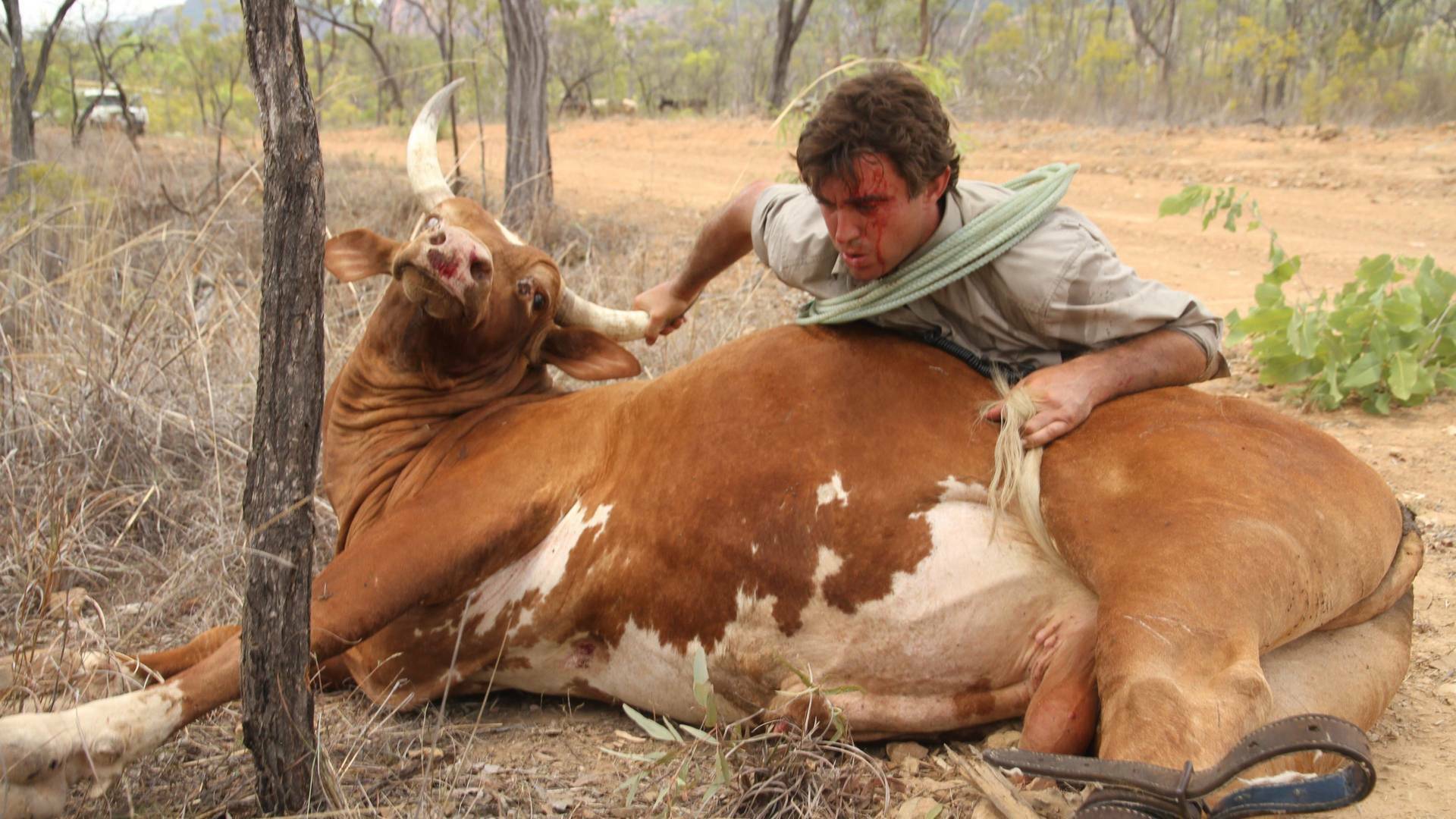 Un vaquero australiano: Escapista