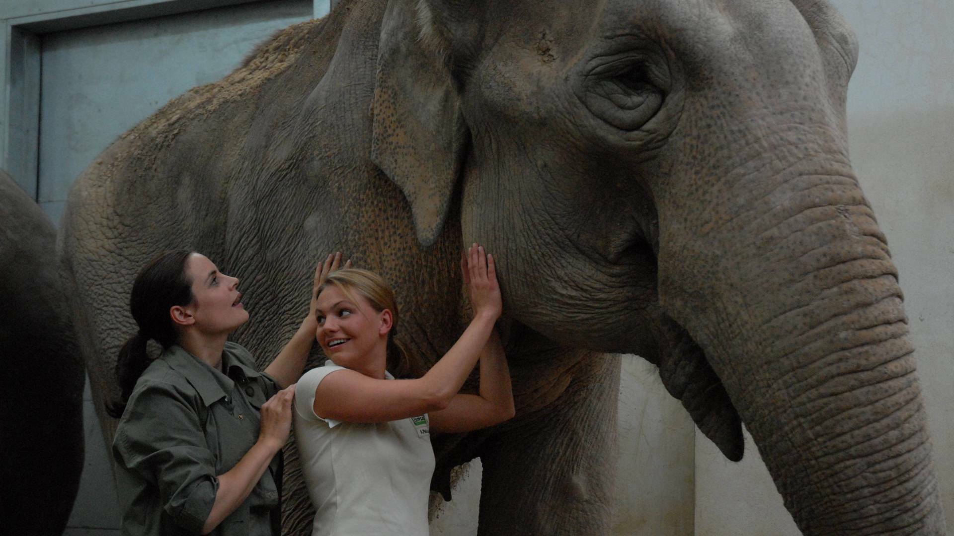 Doctora en el Zoo