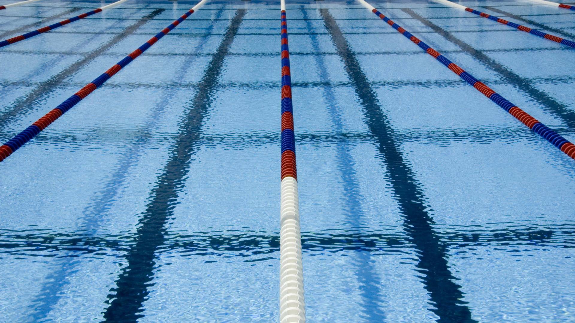 Juegos Paralímpicos Paris 2024: Natación (2024)