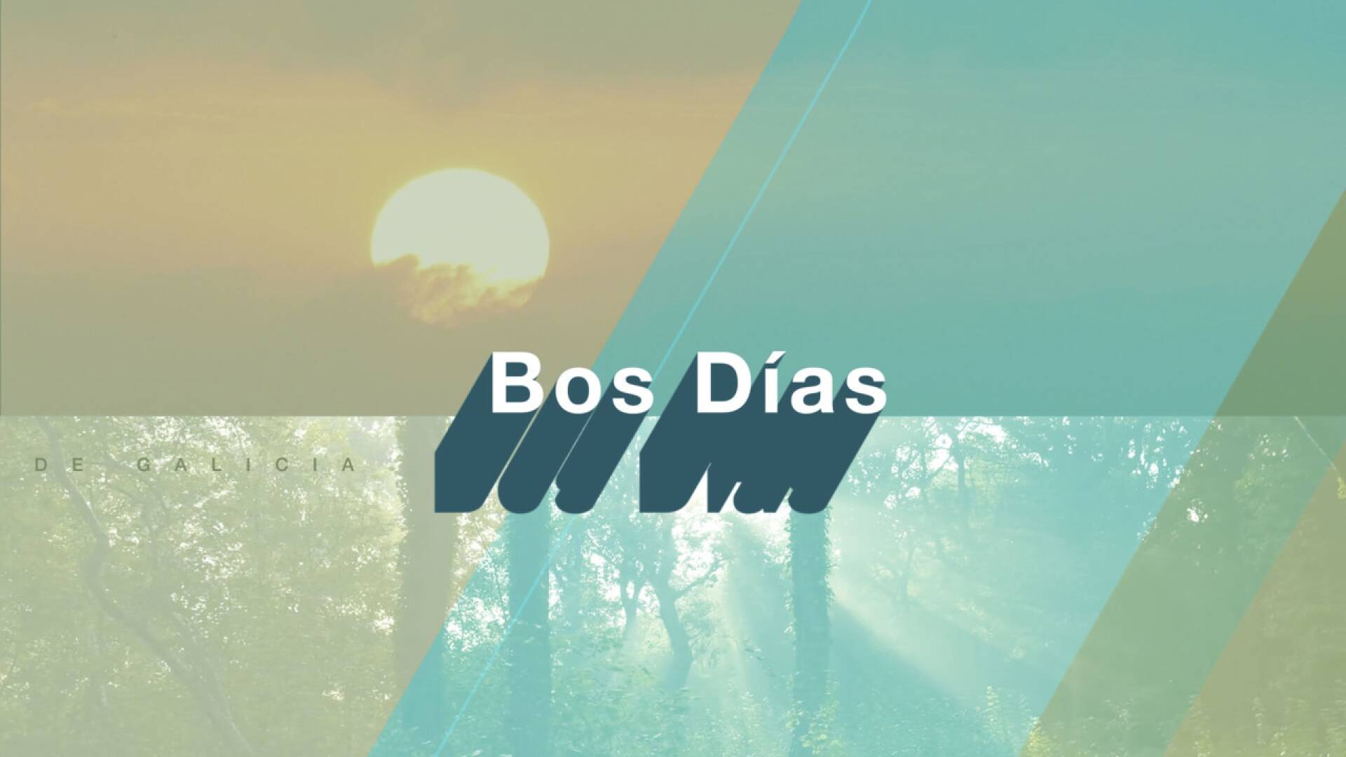 Bos Días