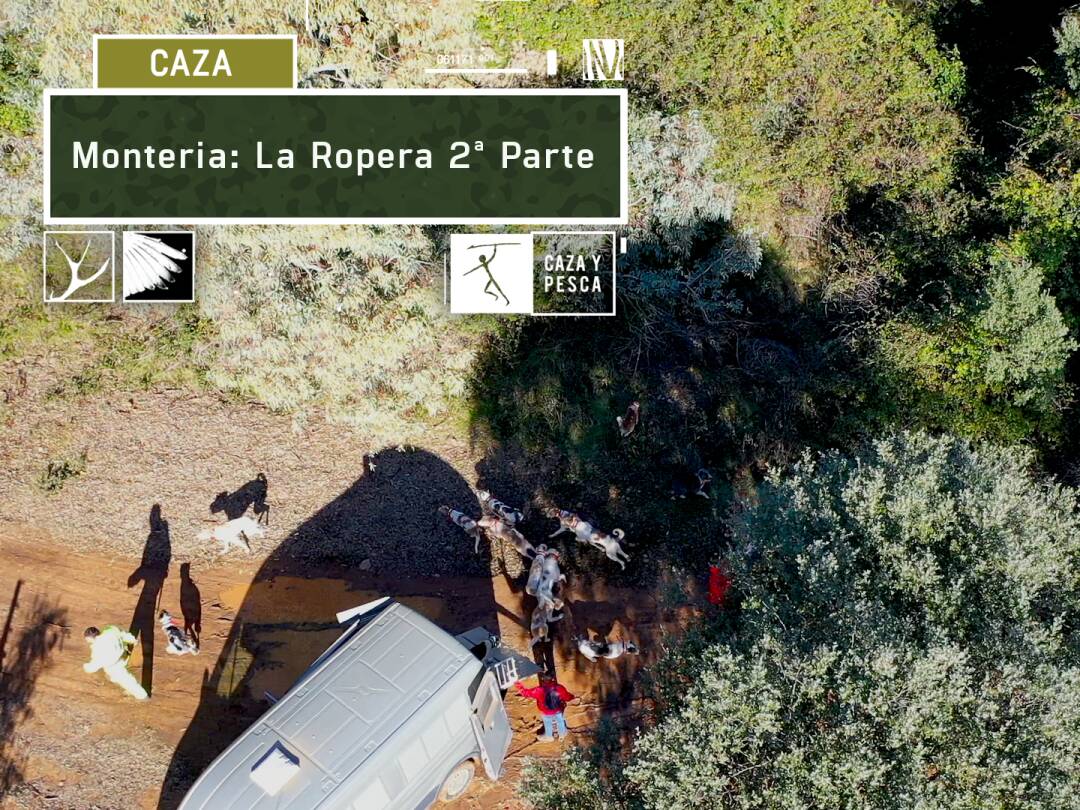 Montería  a los jabalíes de La Ropera 2ª parte