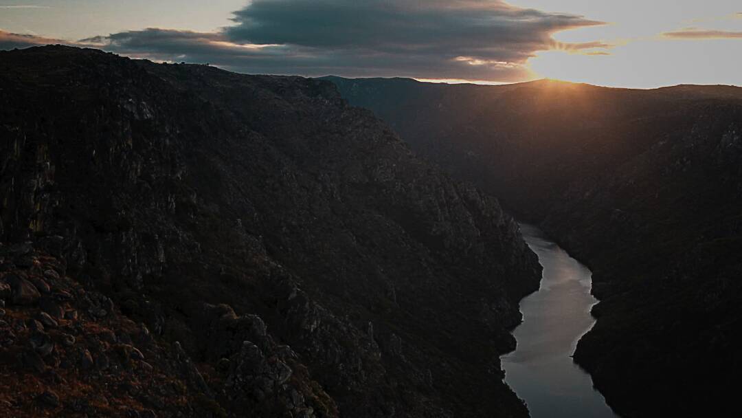 Wild Portugal