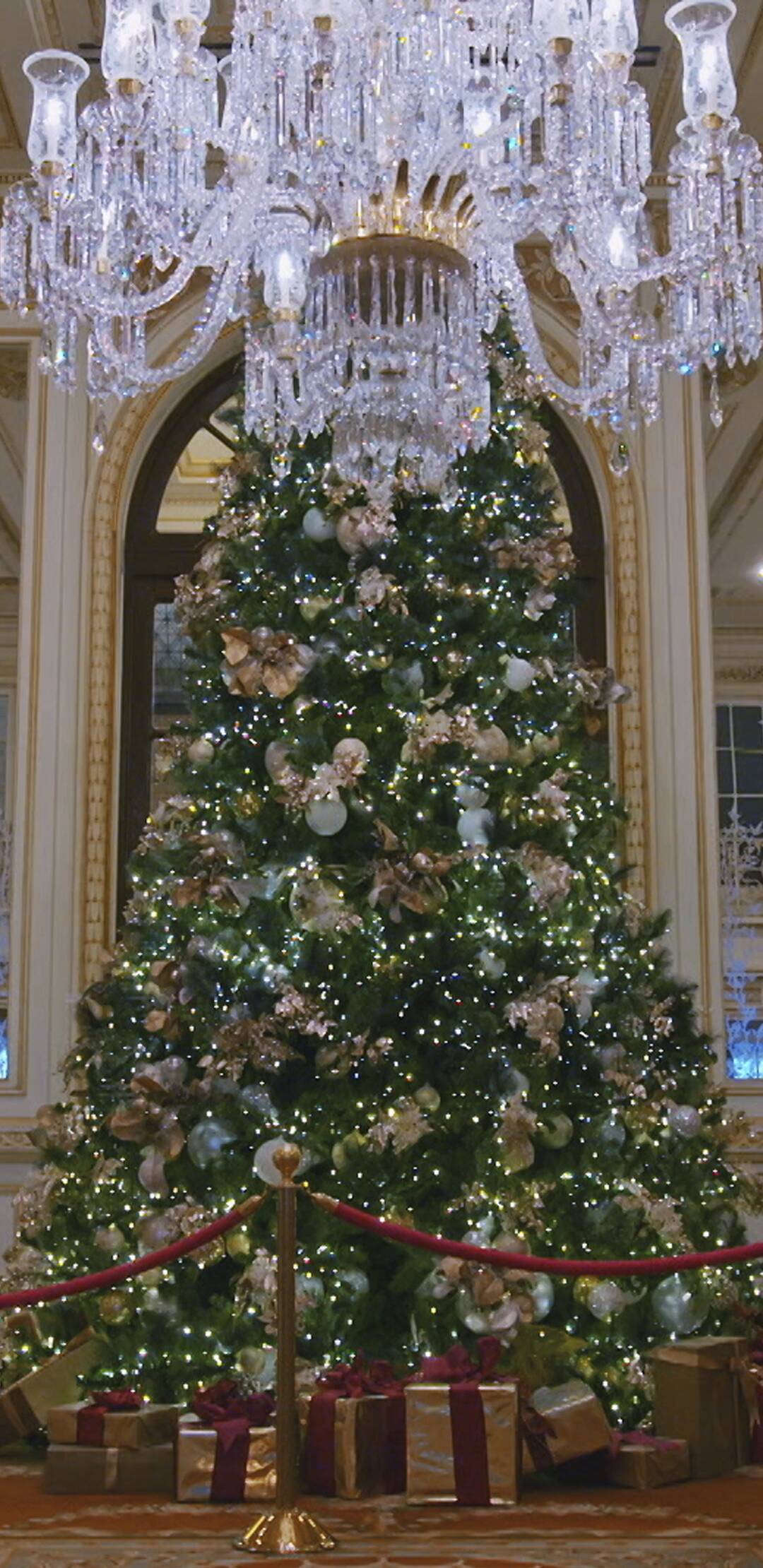 Navidades en el Plaza