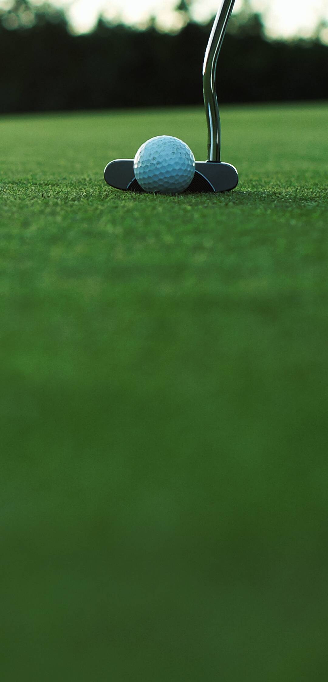 Película oficial Masters de Augusta 2016 (2016)