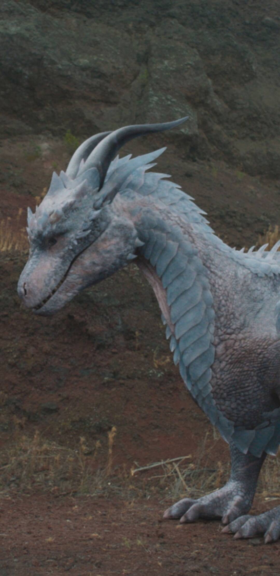 Dragonheart 3: La maldición del brujo