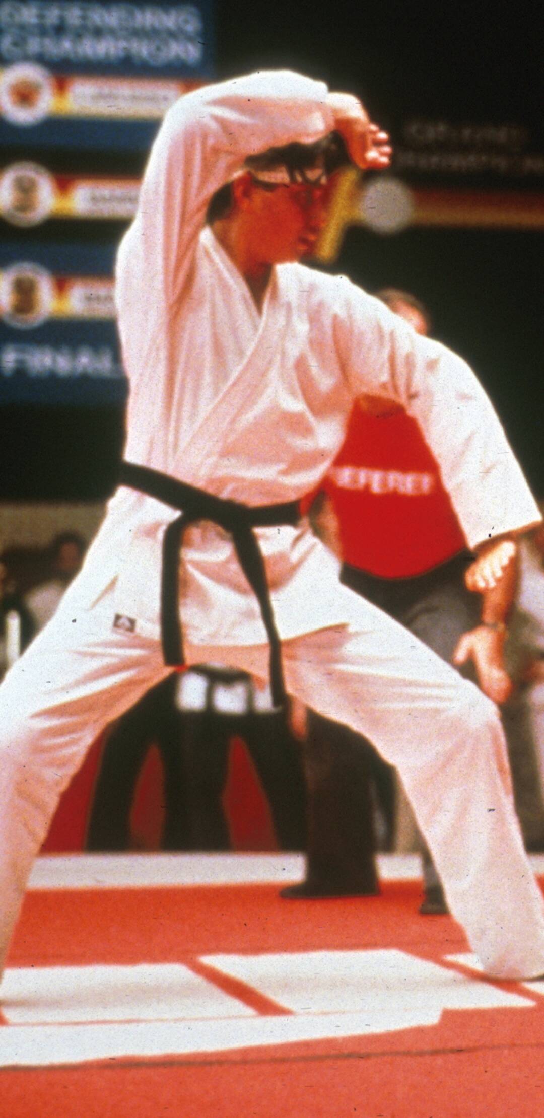 Karate Kid III: el desafío final