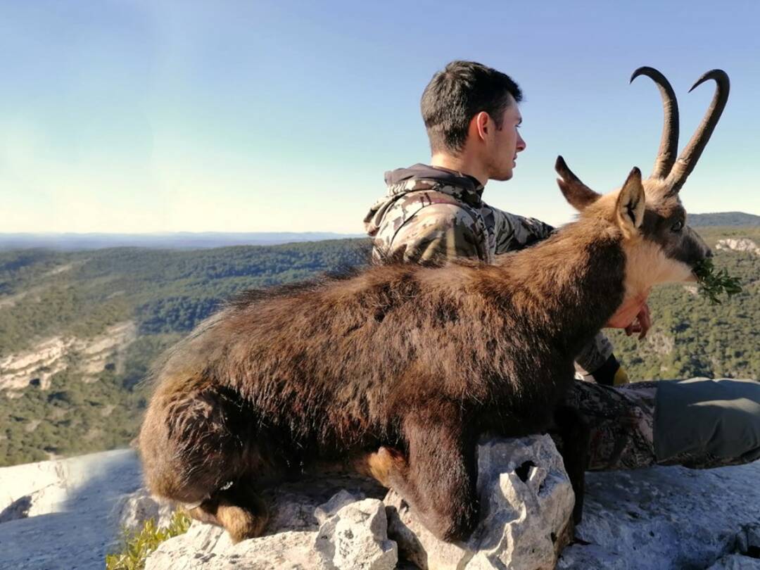 El rebeco soñado