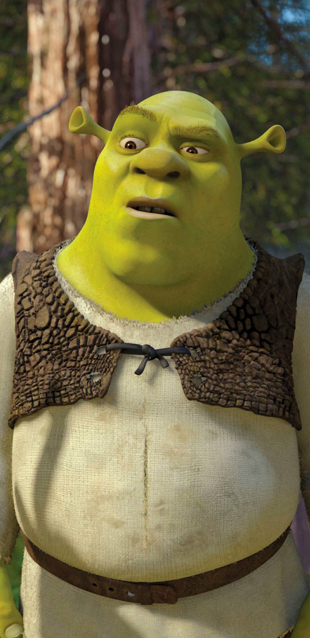 Shrek 2