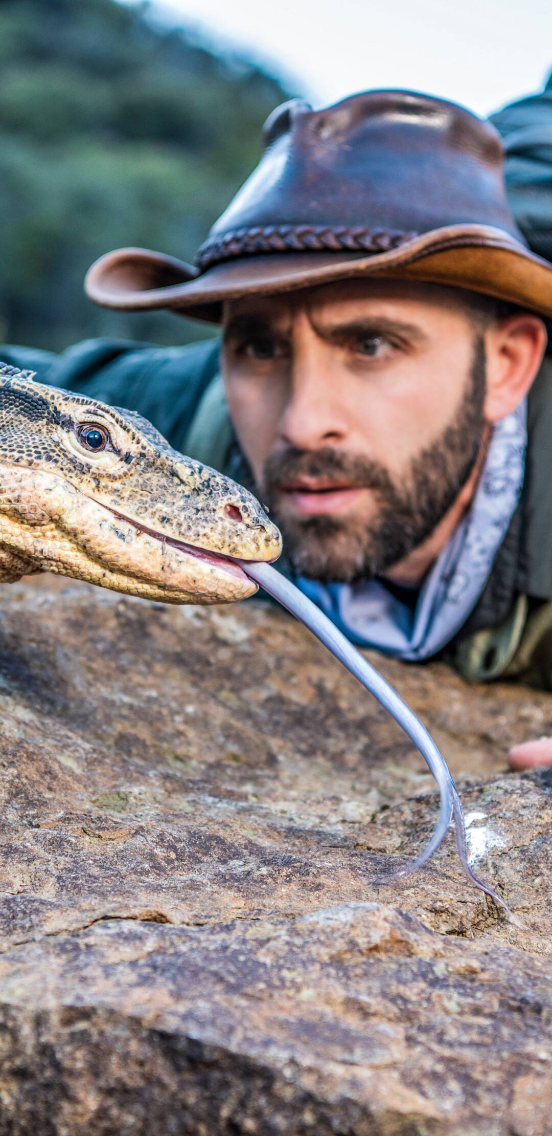 Coyote Peterson en lo...: Tiburones en las sombras