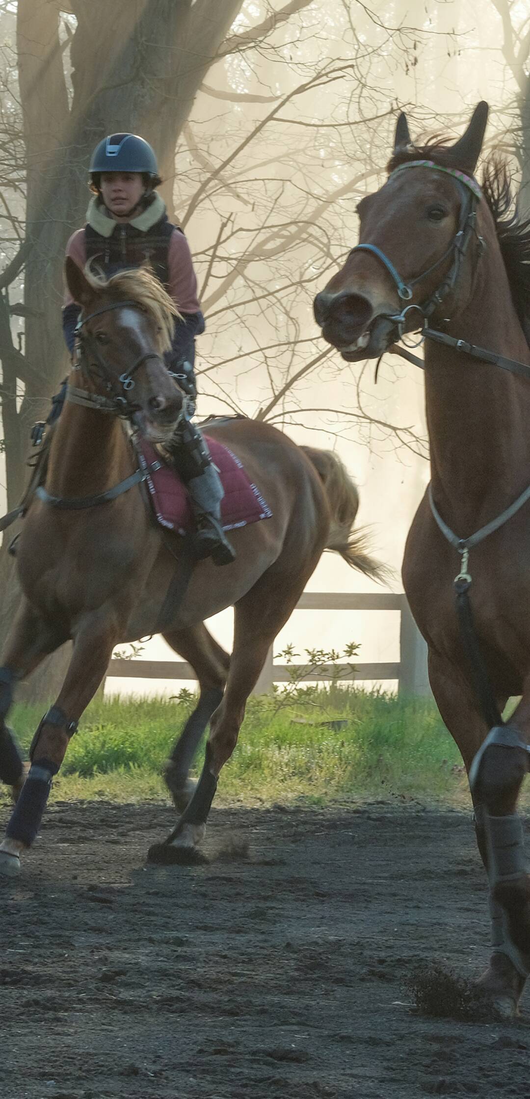 Zoe y Tempestad