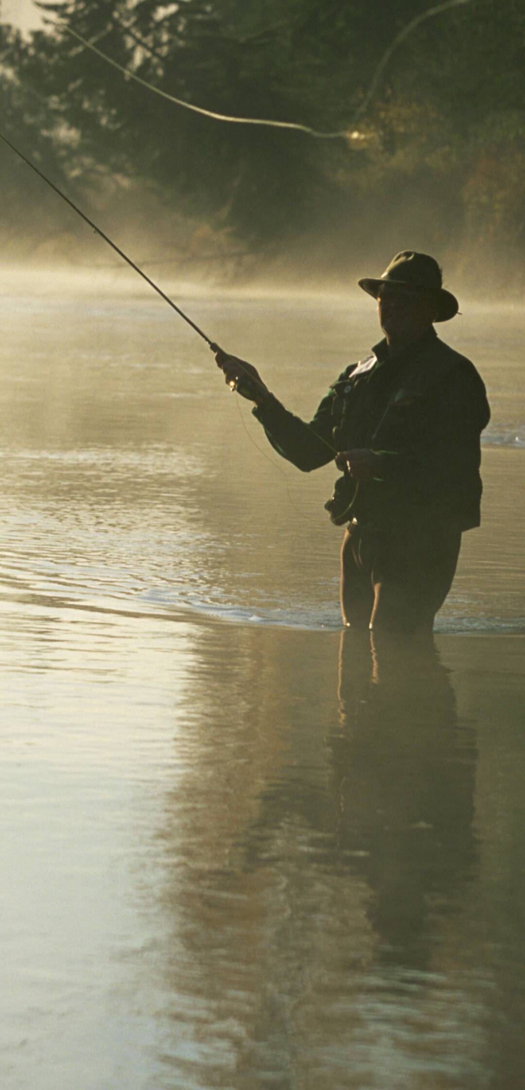 El rey del río