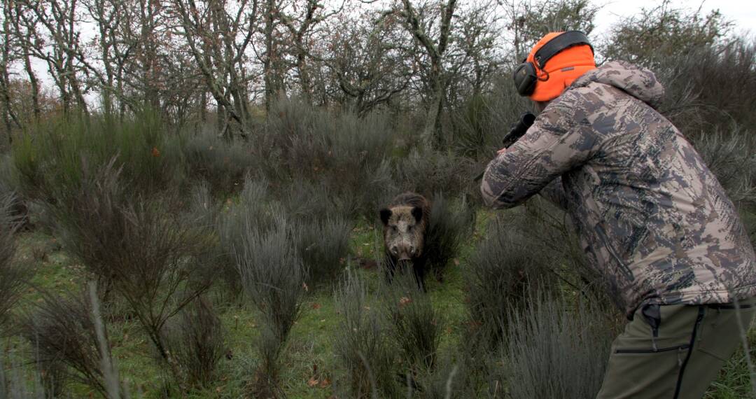 Monteando en el campo charro. 1ª parte