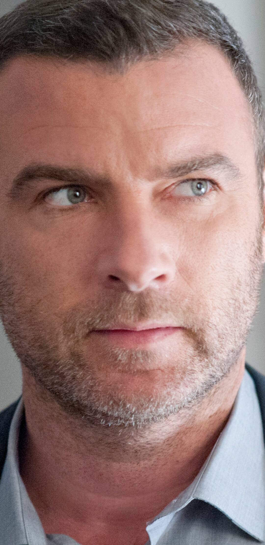 Ray Donovan (T2): El capitán