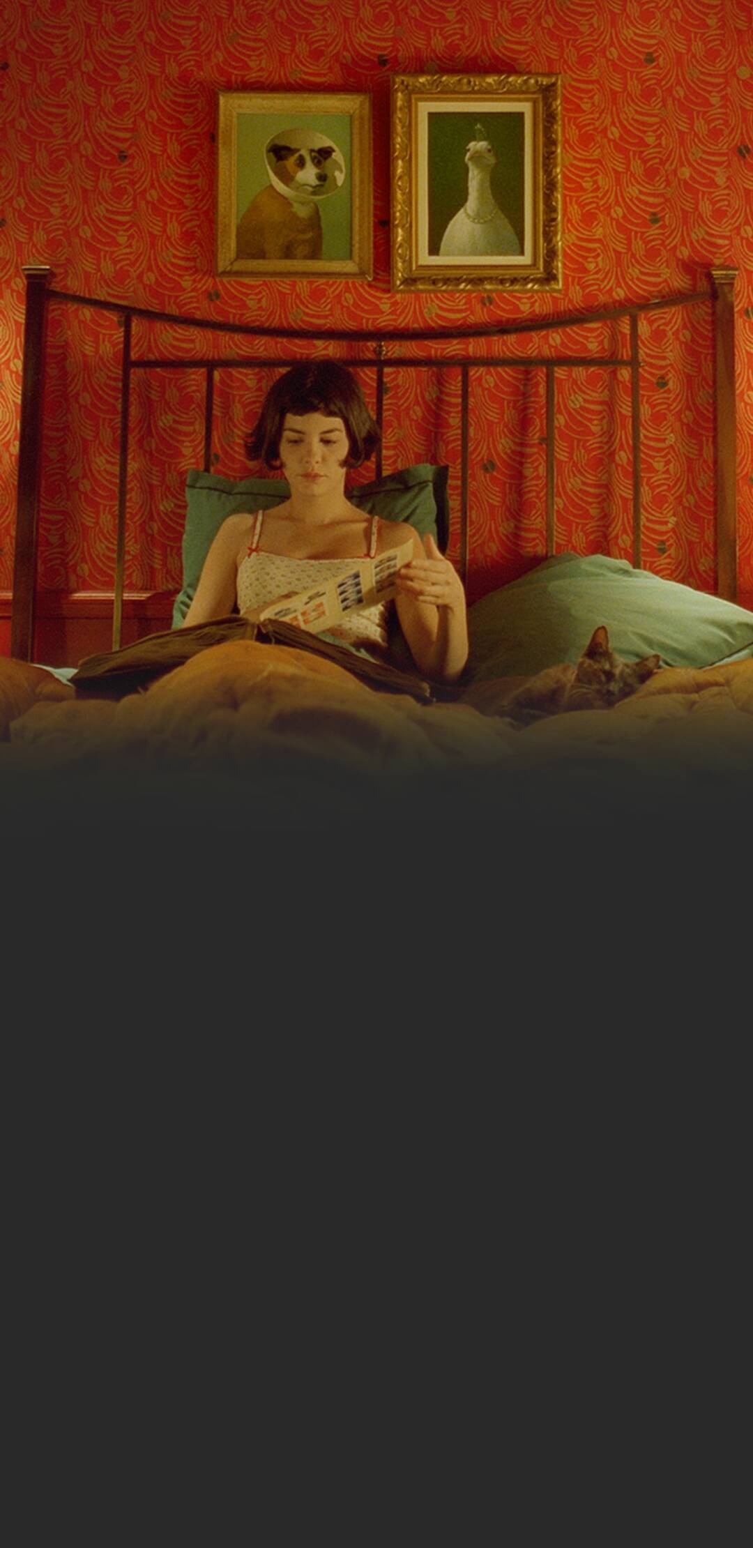 Amelie