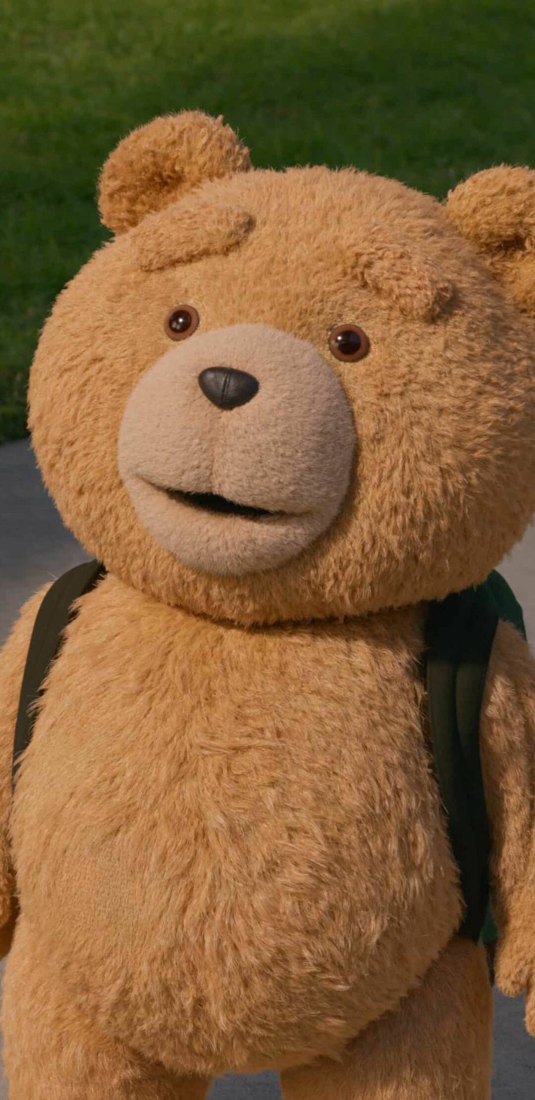 Ted