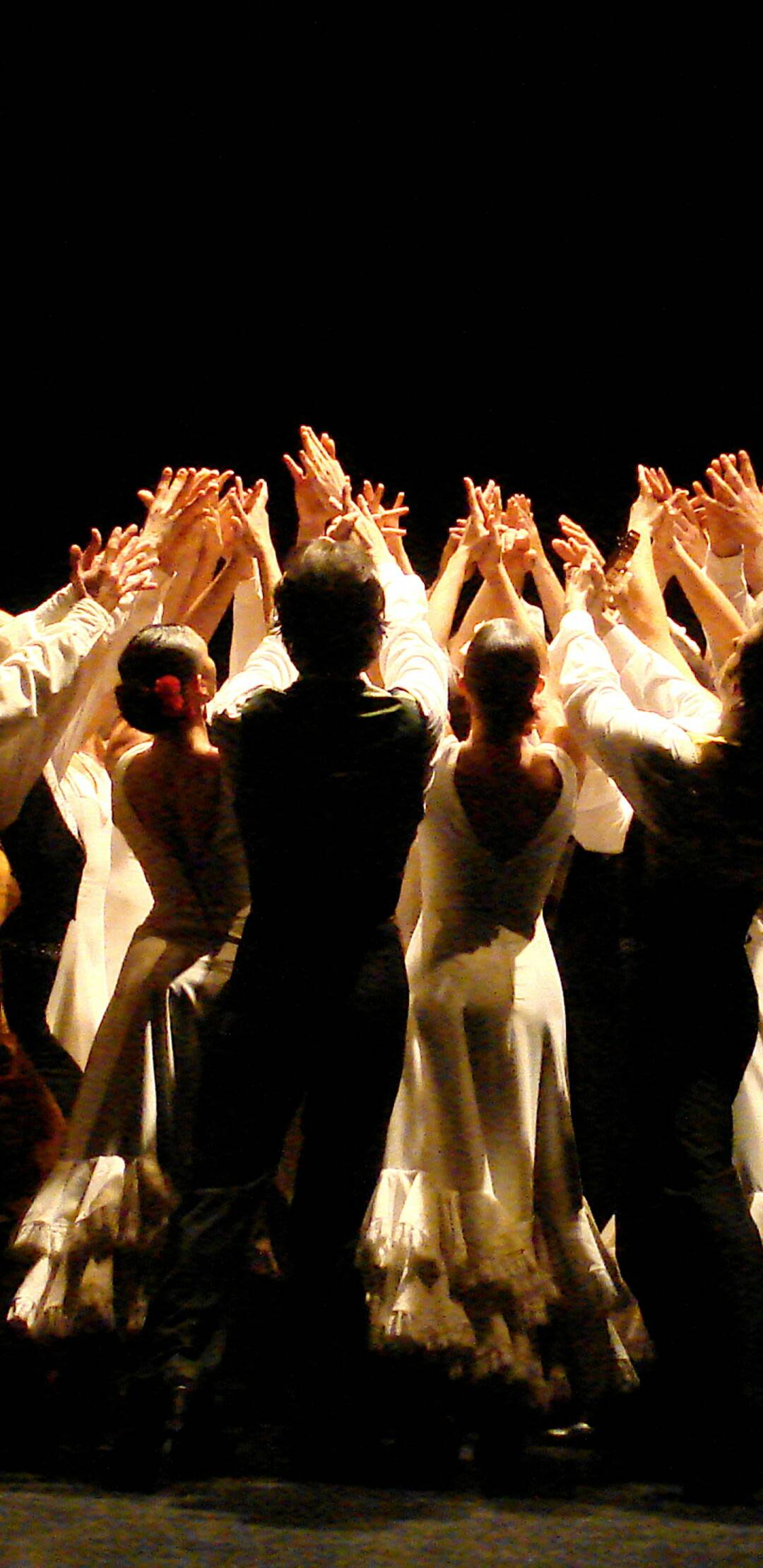 Suite Flamenca - Antonio Gades Company - Teatro Real