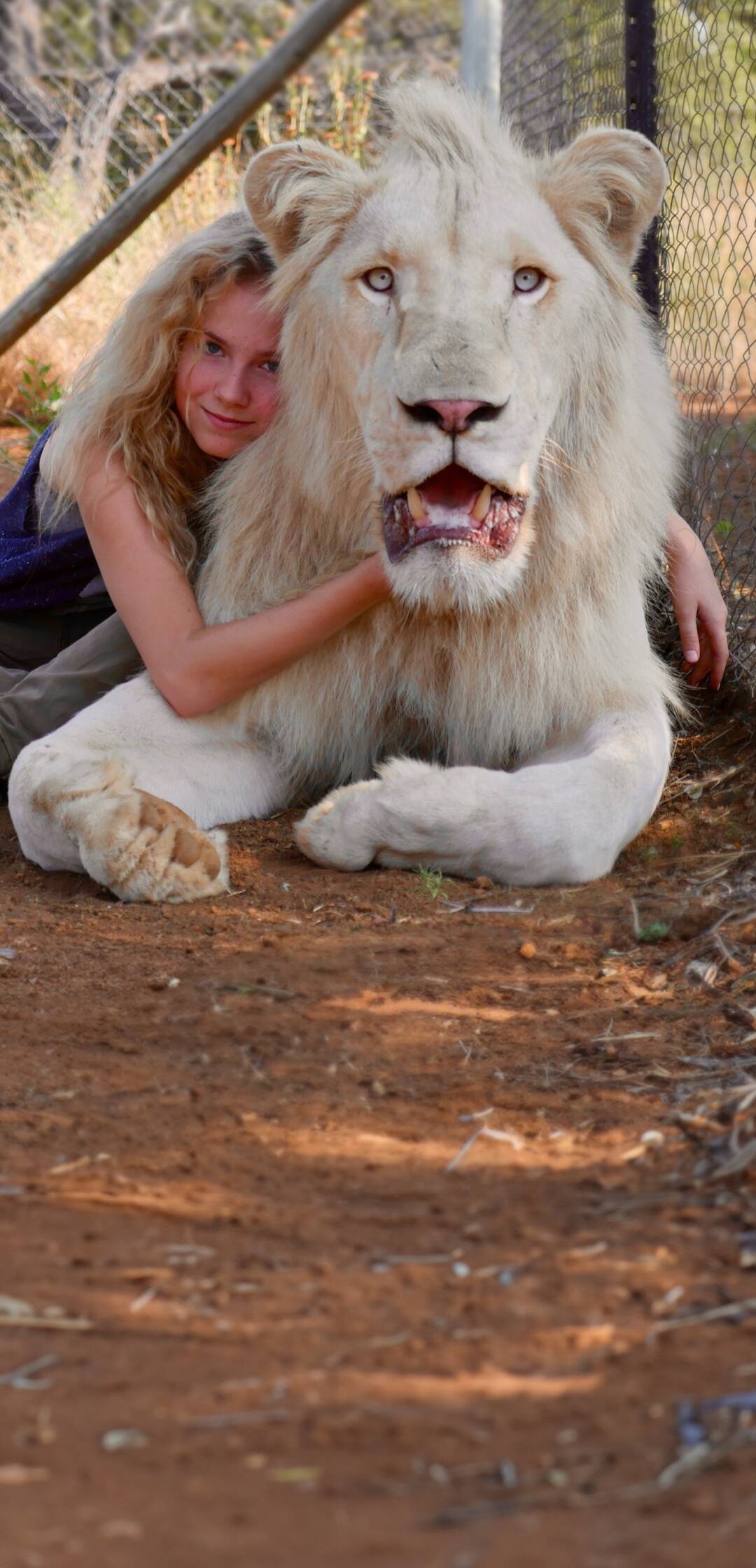 (LSE) - Mia y el león blanco