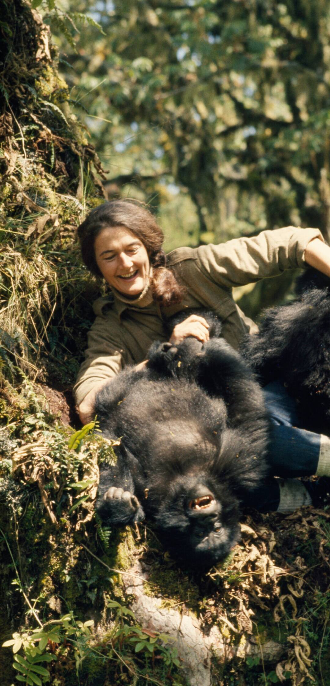 Mujeres Que Cambiaron...: Jane Goodall: La gran esperanza