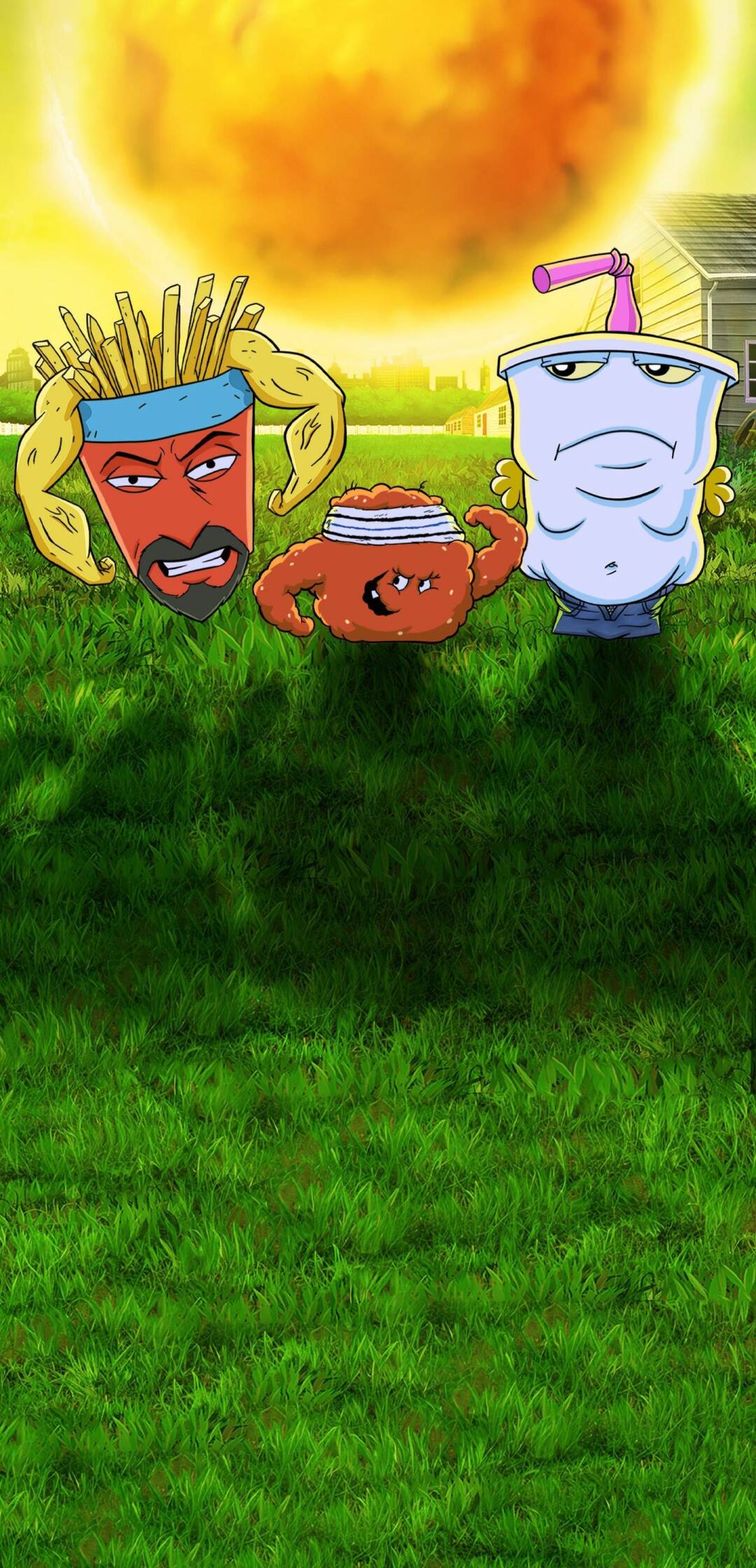 Aqua Teen Hunger Force, Season 12 (T12)