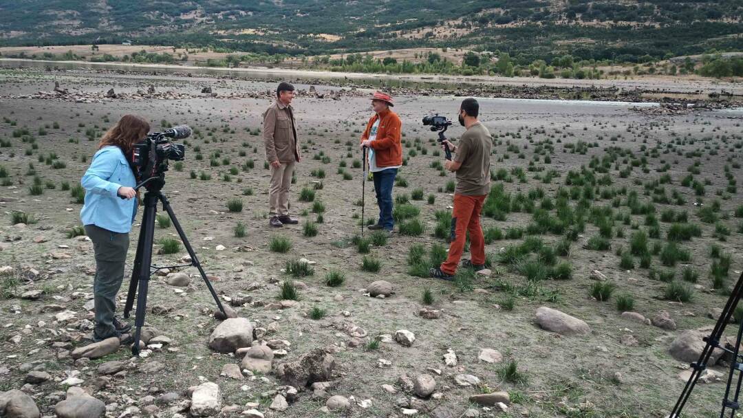 Arqueomanía: A imagen y semejanza. Estelas