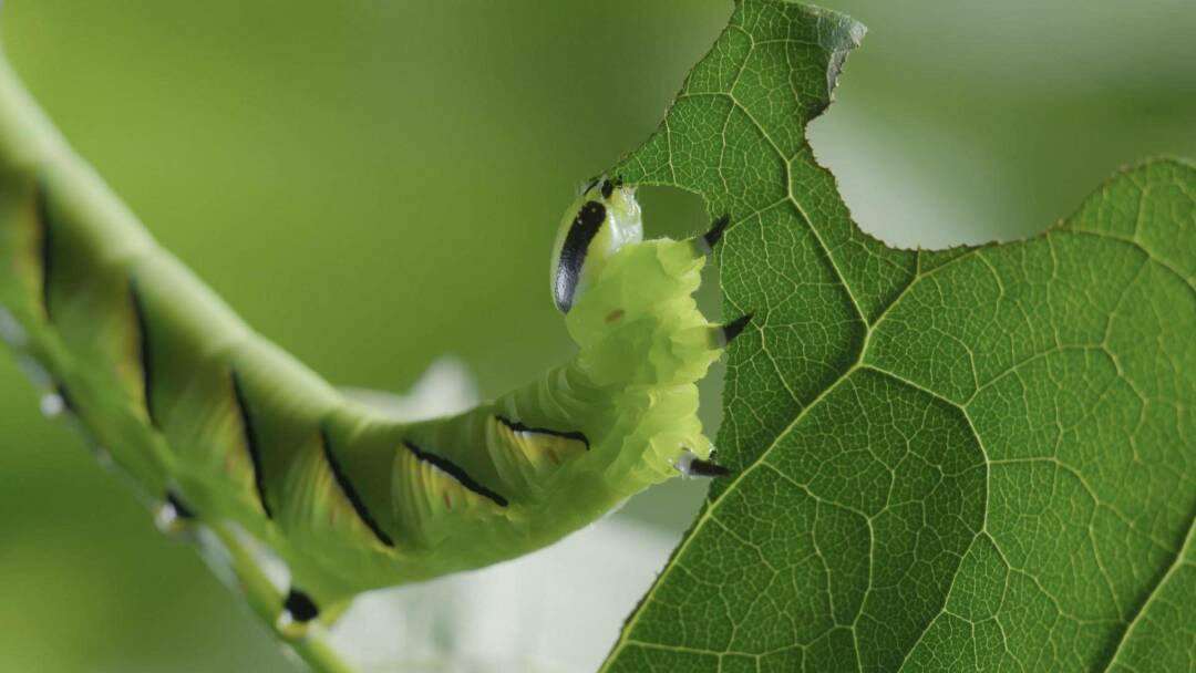 Momentos magicos. El hechizo de la naturaleza