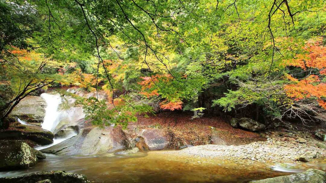 Kyushu, el Japón oriental