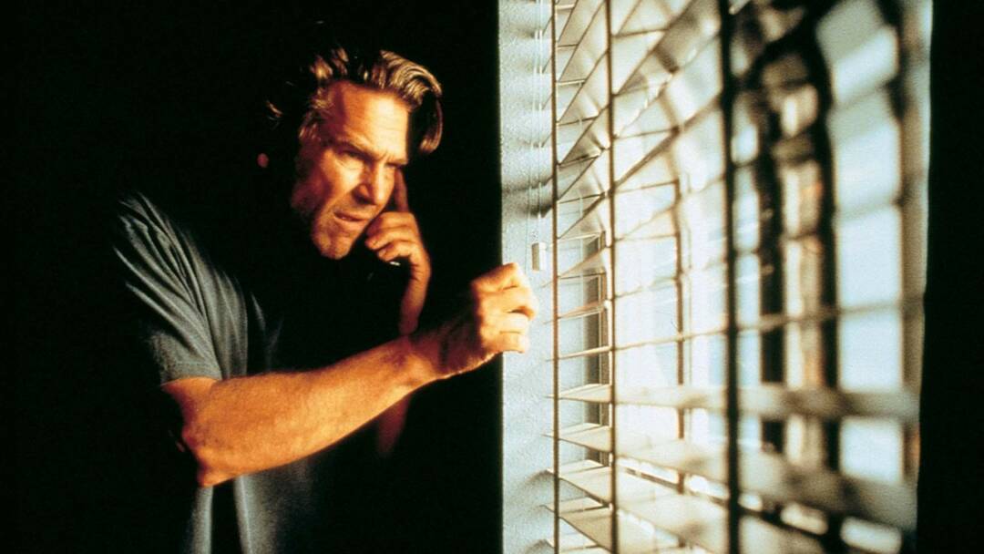 Arlington Road: Temerás a tu vecino