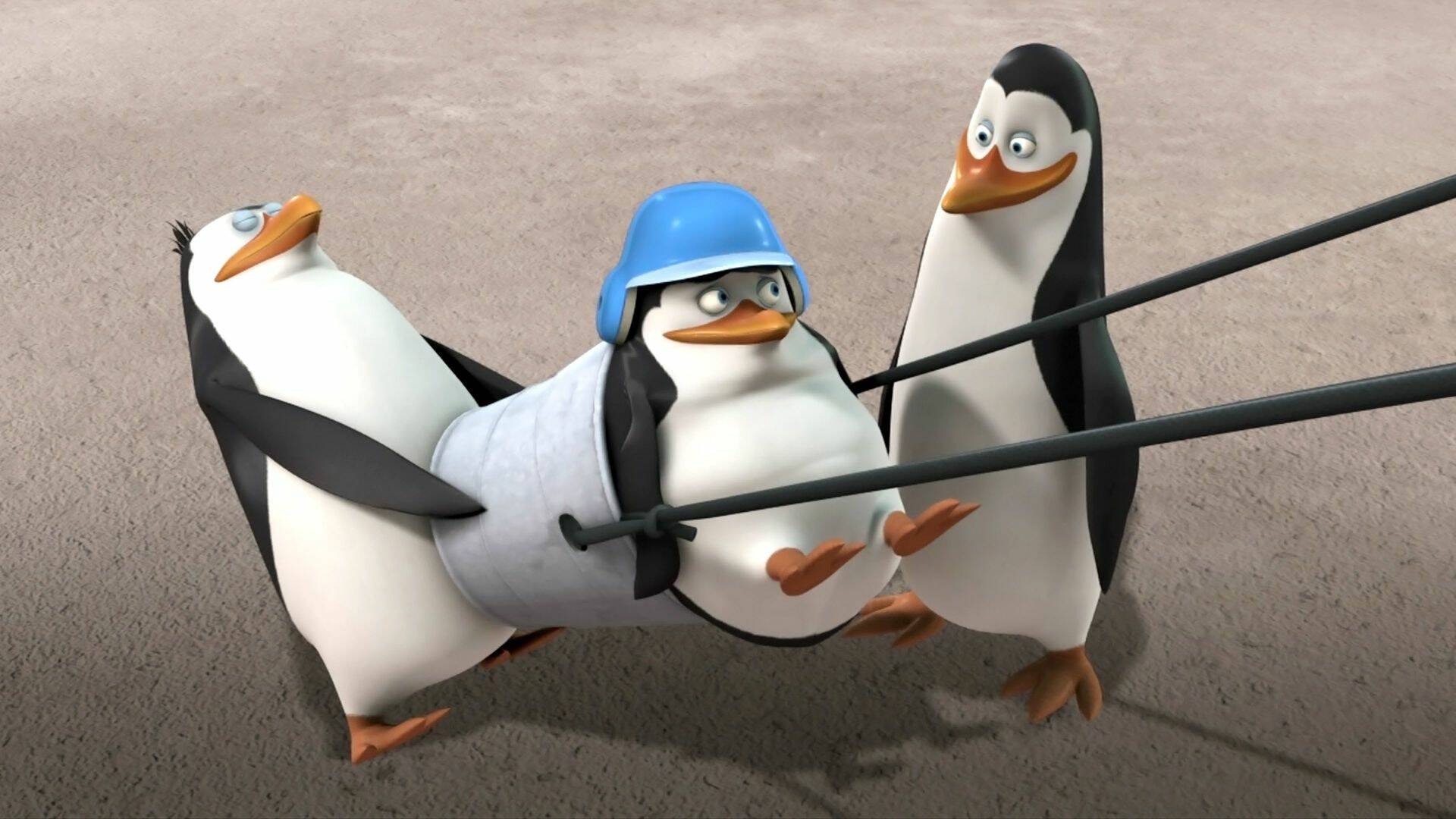 Los pingüinos de... (T1): El Lanzamiento; El Hábitat Encantado (2008) |  Movistar Plus+