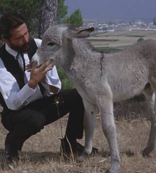 Platero y yo