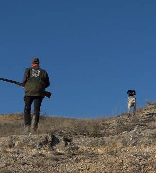 Perdiz al salto en Fuentespreadas