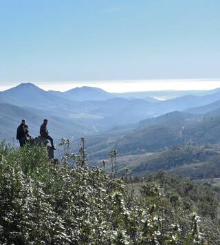 Lances monteros en la Sierra de Meda