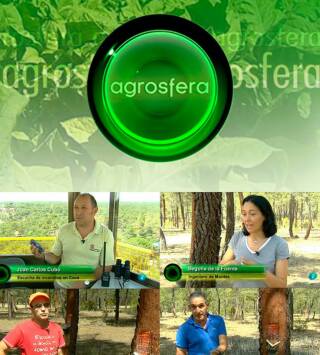 Agrosfera