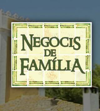 Negocis de família