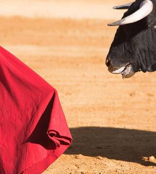 Toros y pueblos