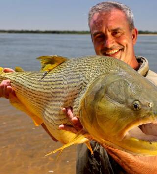 Los últimos peces...: Fin de trayecto