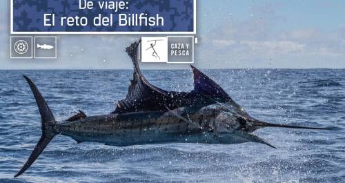 De viaje: El reto del Billfish