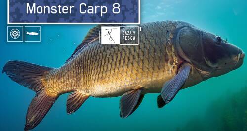 Monster Carp. T8. Episodio 1