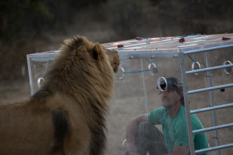 Encerrado entre leones