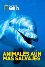 Animales aún más salvajes 