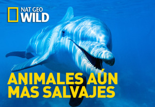 Animales aún más salvajes 