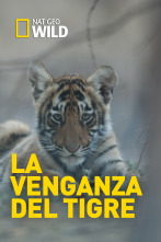 La venganza del tigre