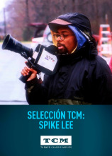 Selección TCM: Spike Lee