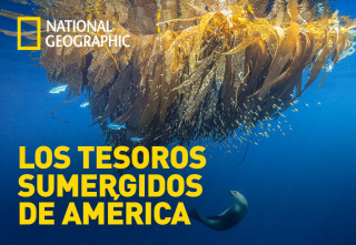 Los tesoros sumergidos de América