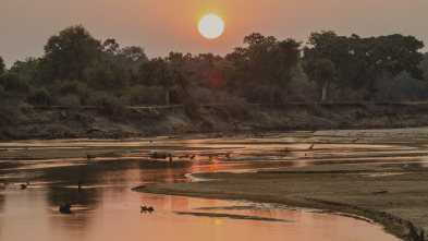 Cazadores de África 