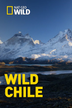 Wild Chile: Los extremos de la Tierra