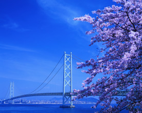 Japón: entre el cielo y la tierra 