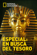 Especial: En busca del tesoro